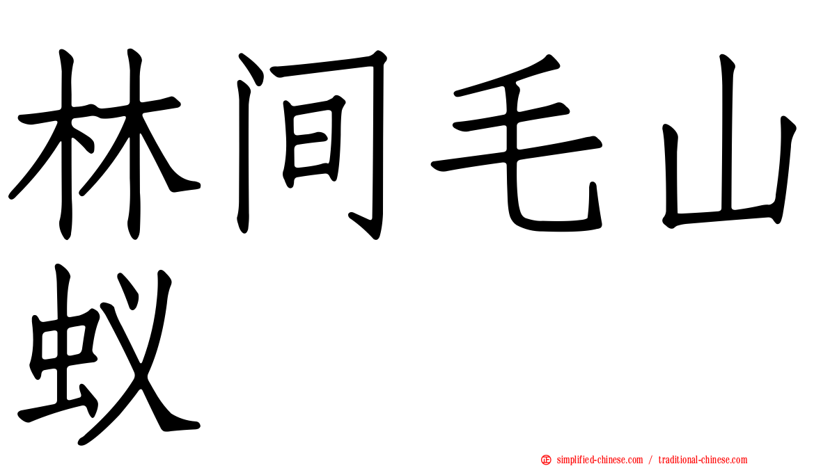 林间毛山蚁