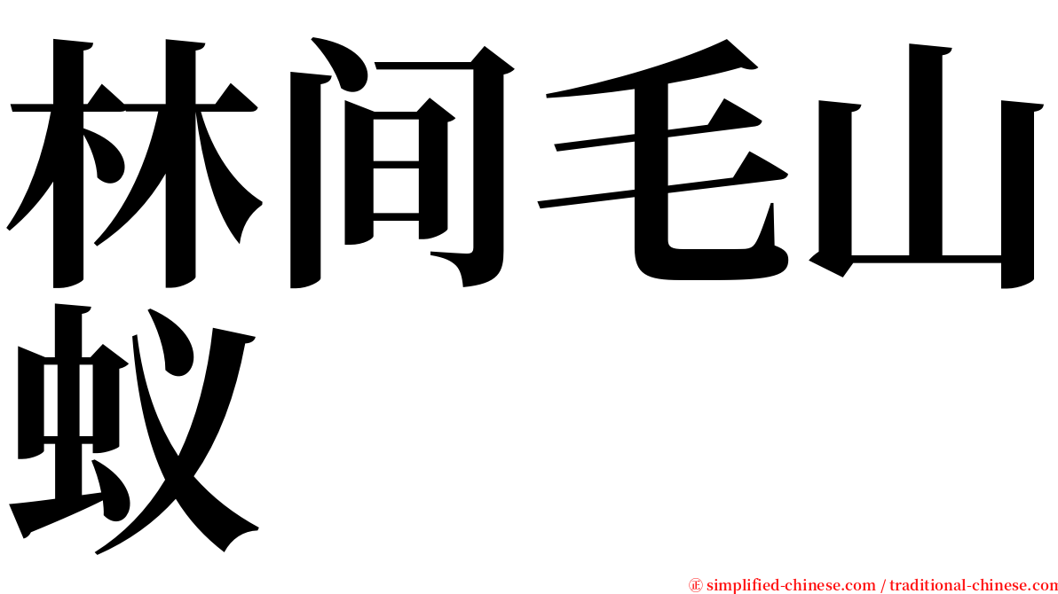 林间毛山蚁 serif font
