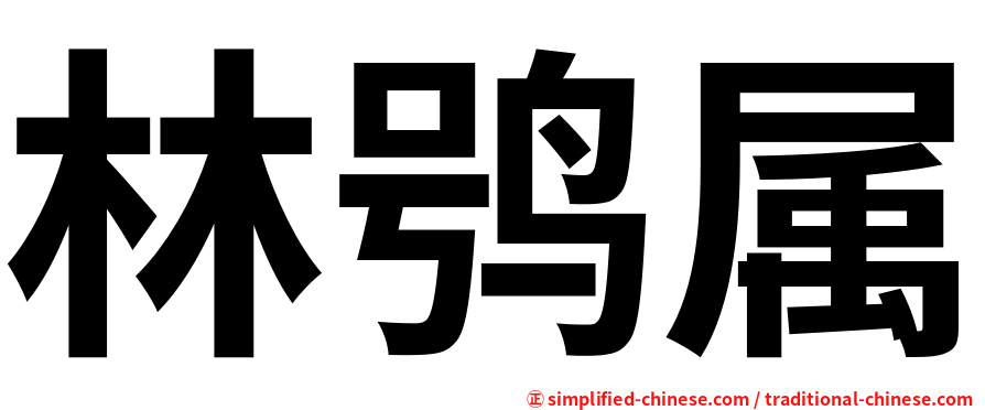 林鸮属