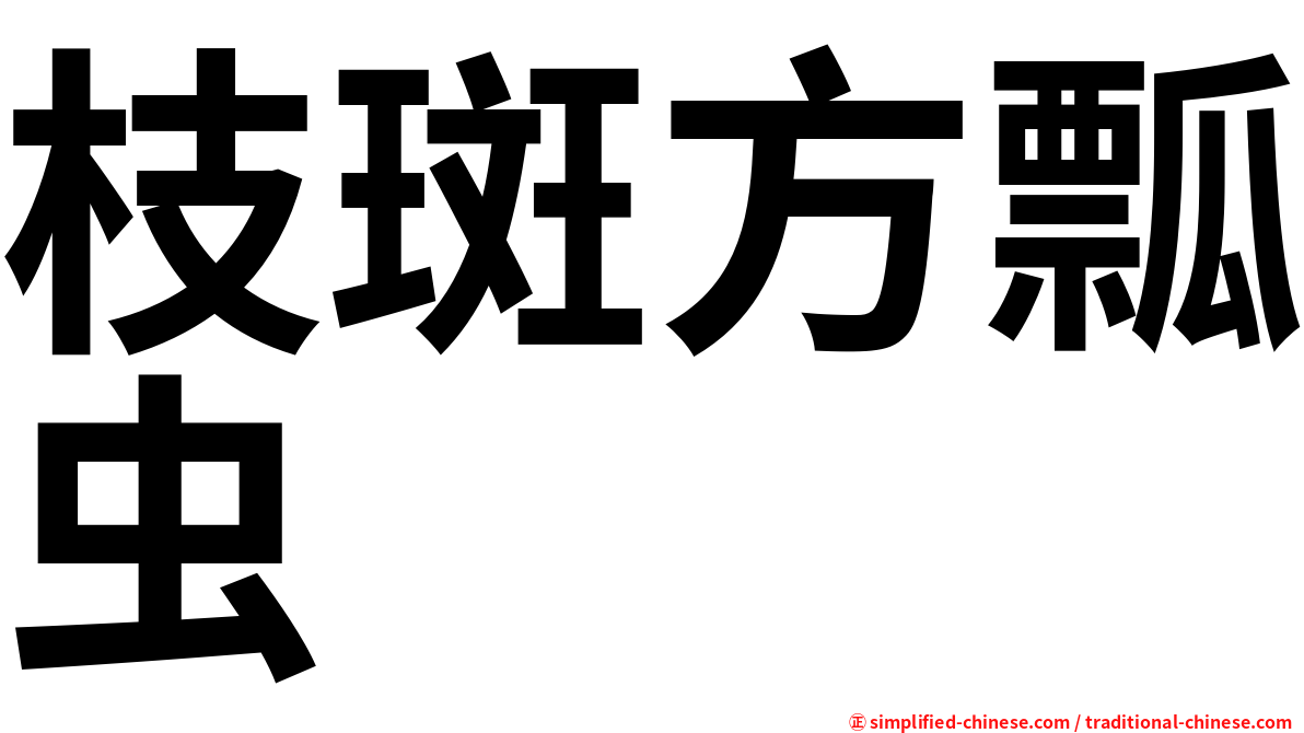 枝斑方瓢虫