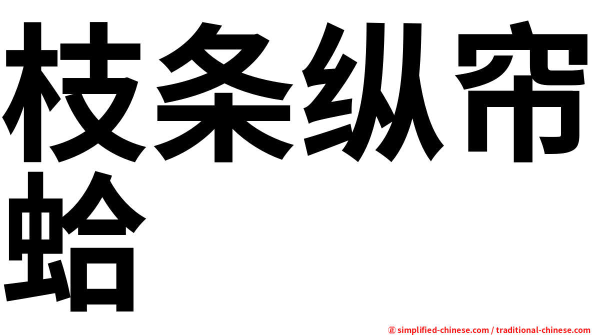 枝条纵帘蛤