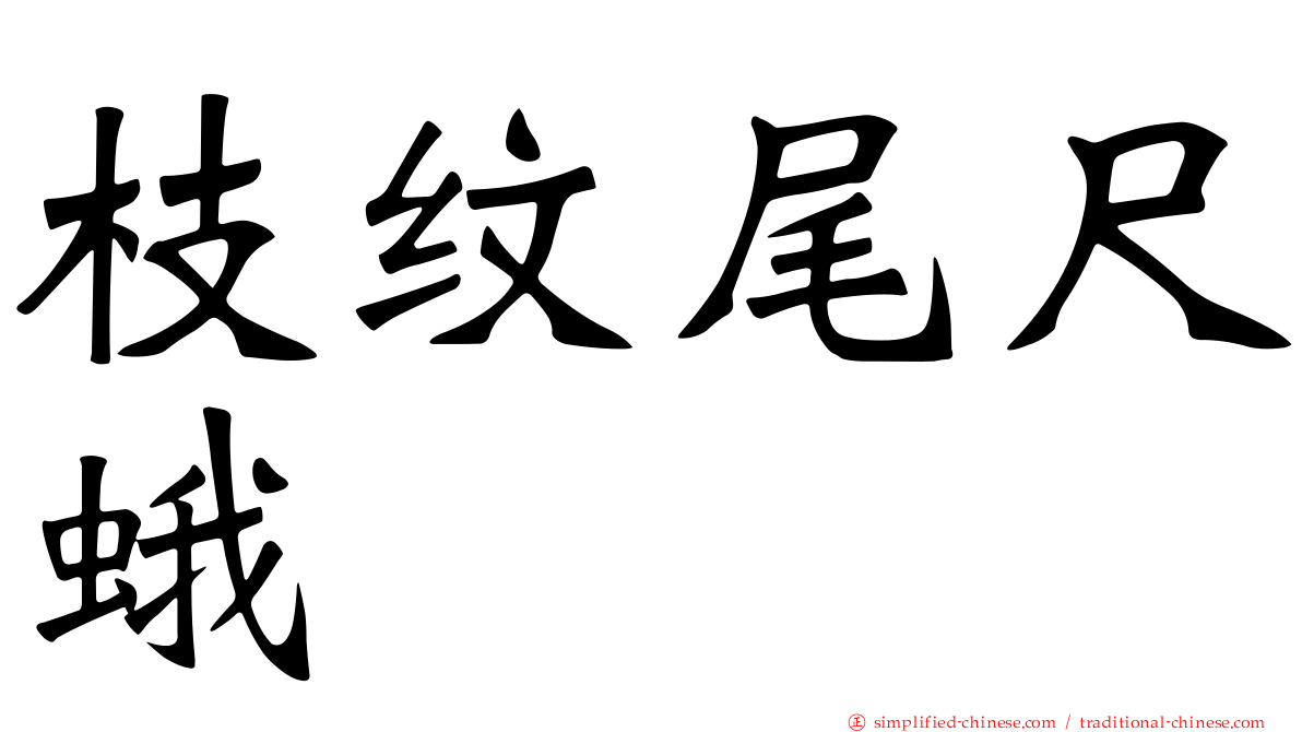 枝纹尾尺蛾