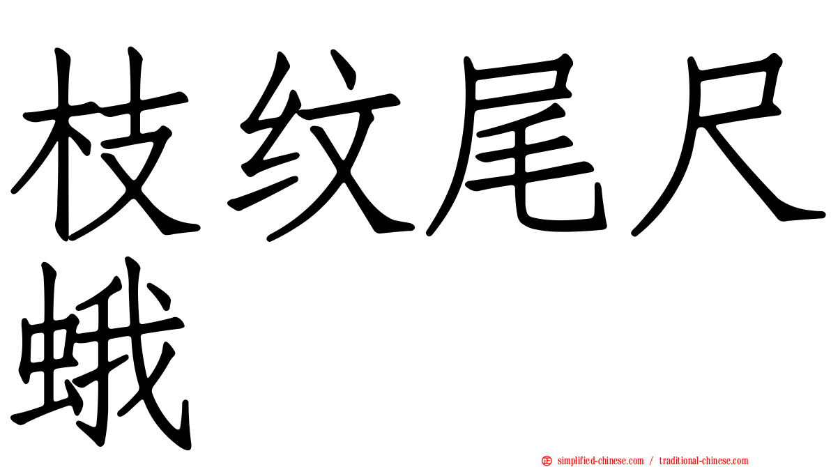枝纹尾尺蛾