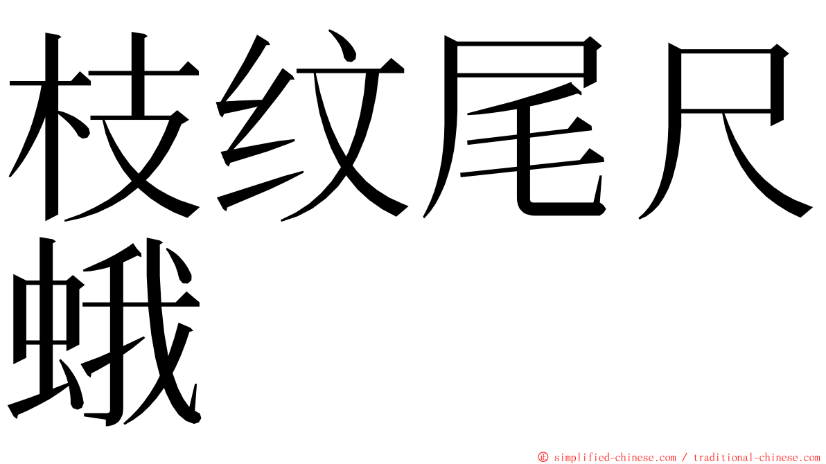 枝纹尾尺蛾 ming font