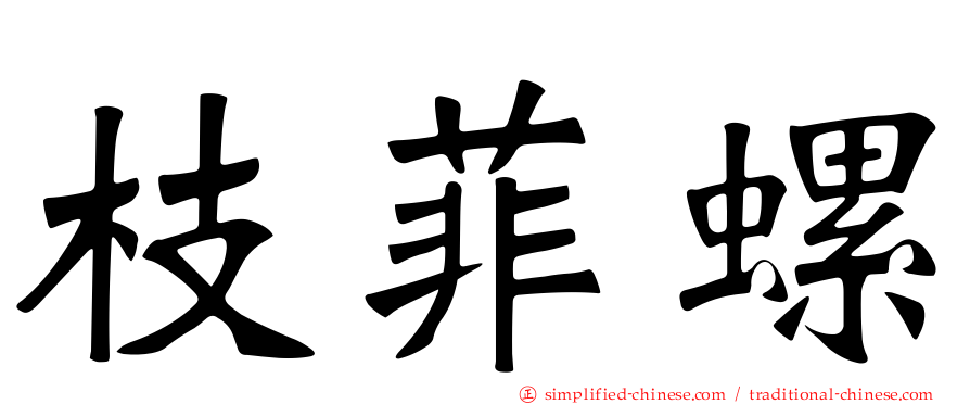 枝菲螺