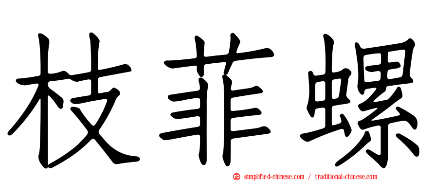 枝菲螺