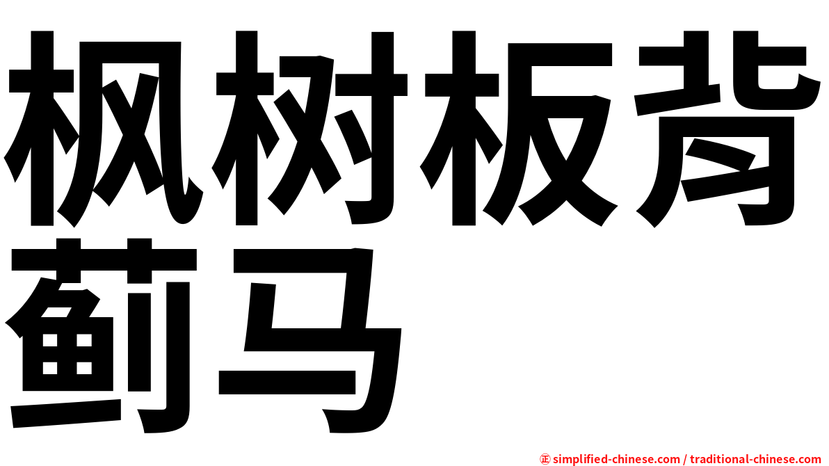 枫树板背蓟马