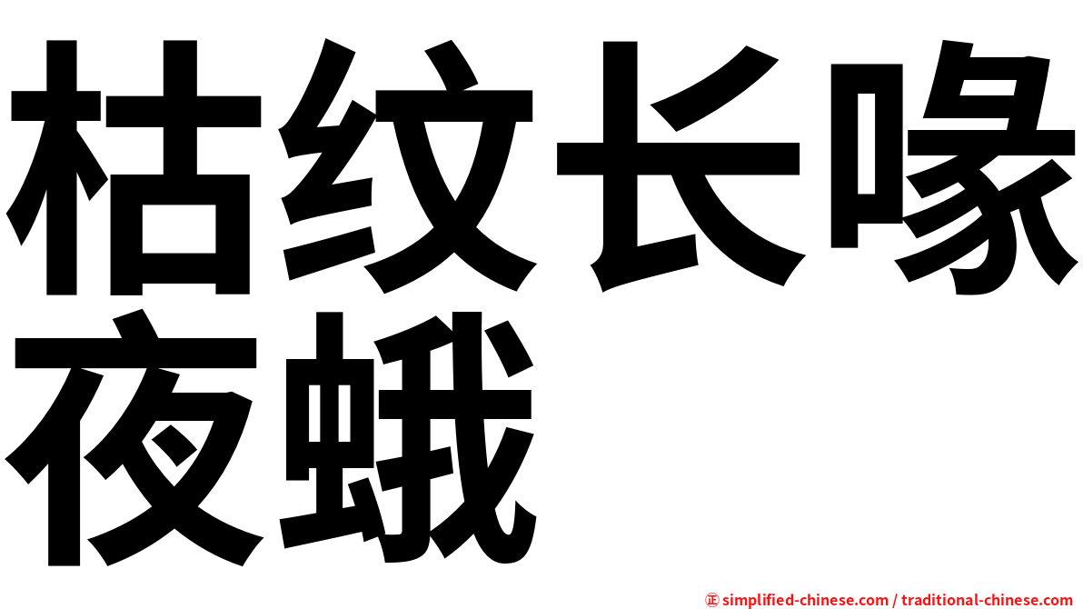 枯纹长喙夜蛾