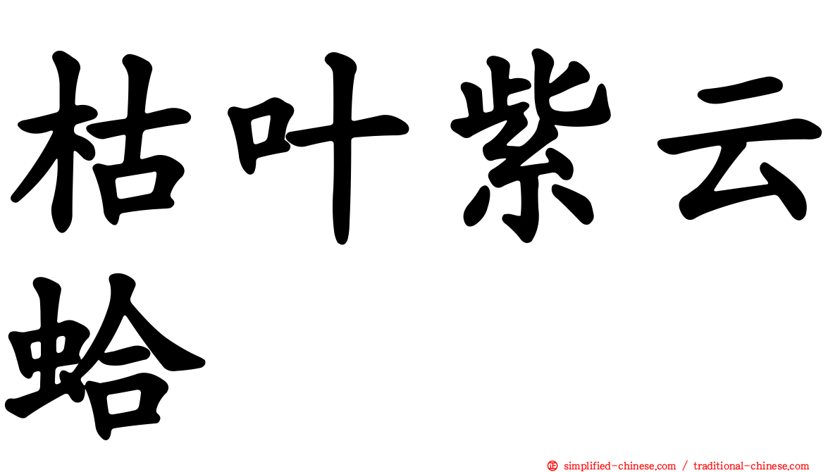 枯叶紫云蛤