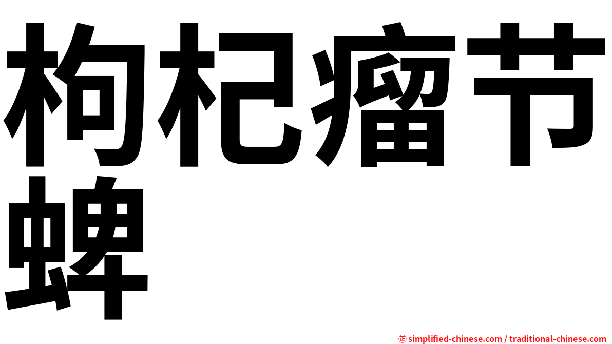 枸杞瘤节蜱