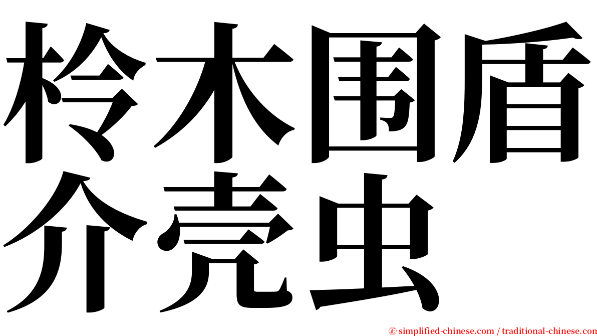 柃木围盾介壳虫 serif font