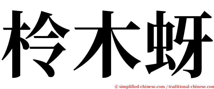 柃木蚜 serif font