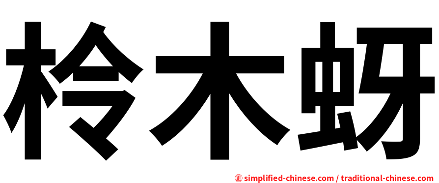 柃木蚜