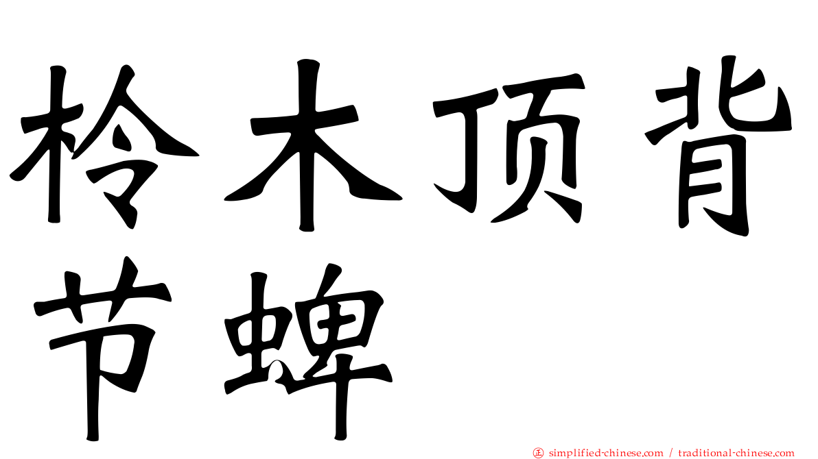 柃木顶背节蜱