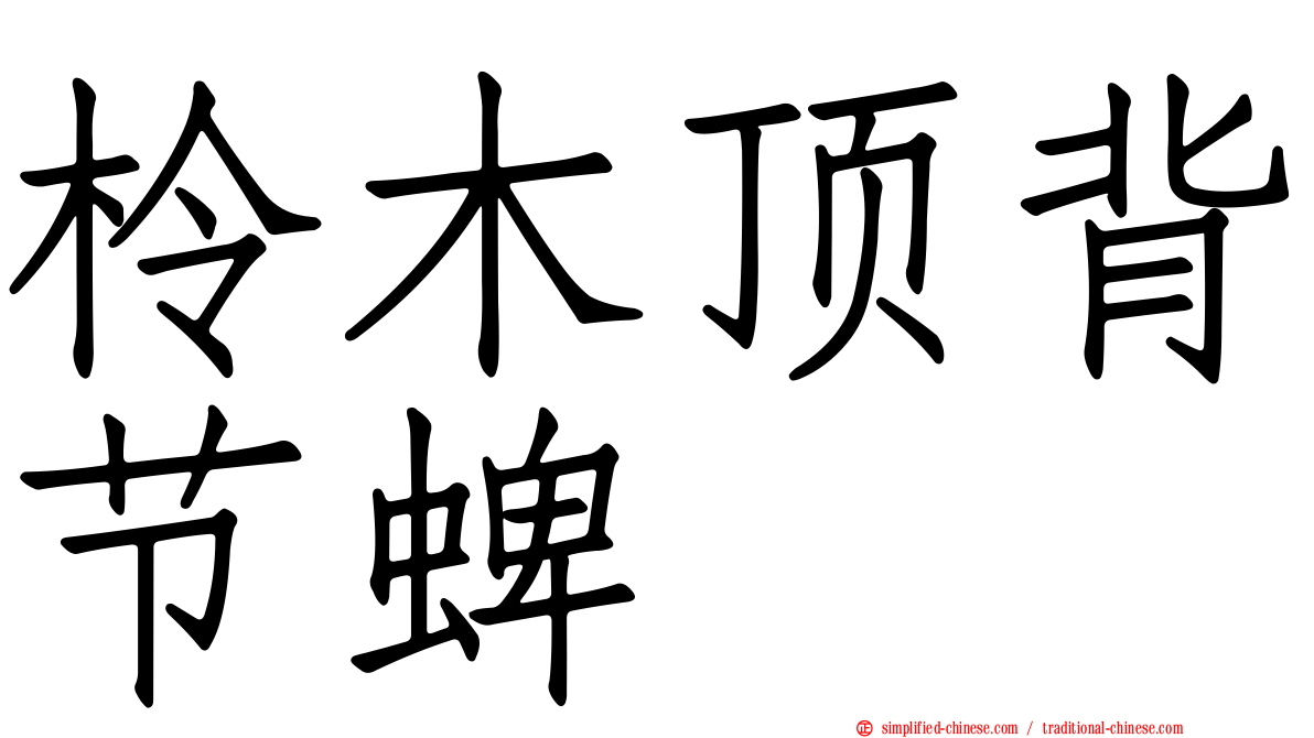 柃木顶背节蜱