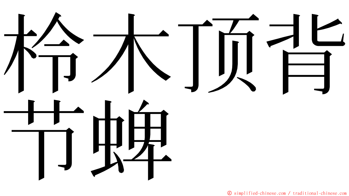 柃木顶背节蜱 ming font
