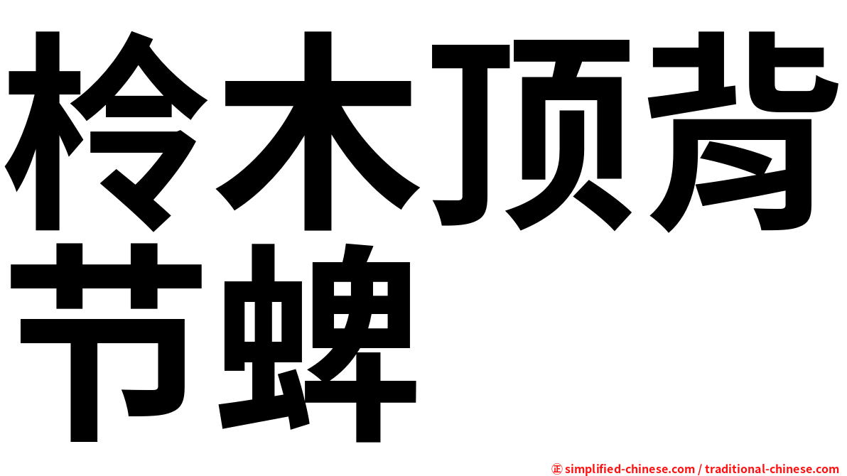 柃木顶背节蜱