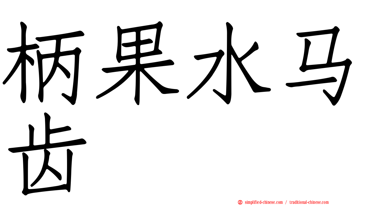 柄果水马齿
