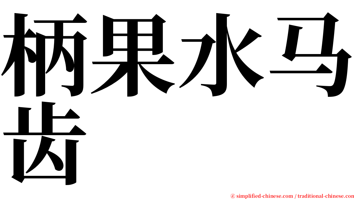 柄果水马齿 serif font