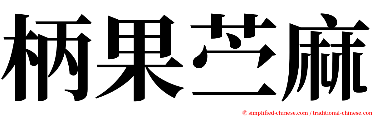 柄果苎麻 serif font