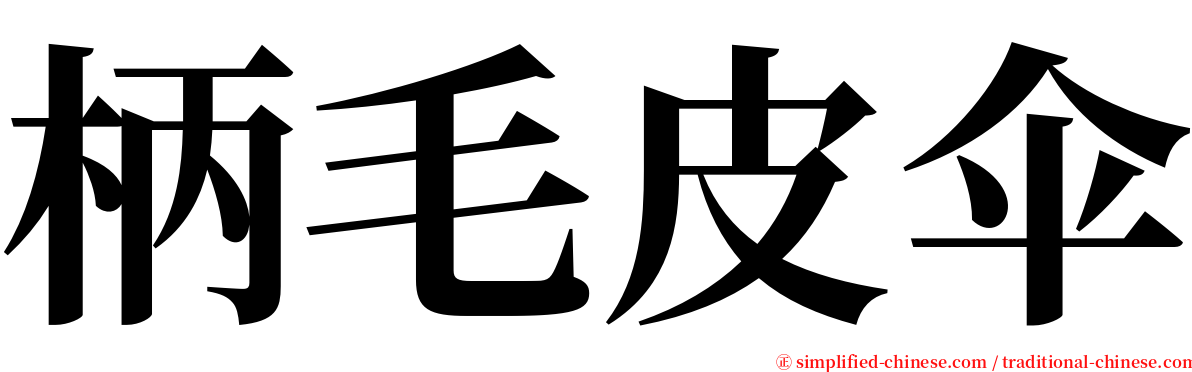 柄毛皮伞 serif font