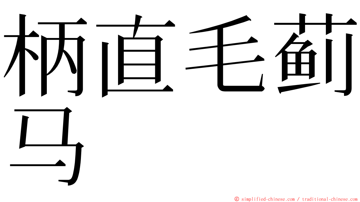 柄直毛蓟马 ming font
