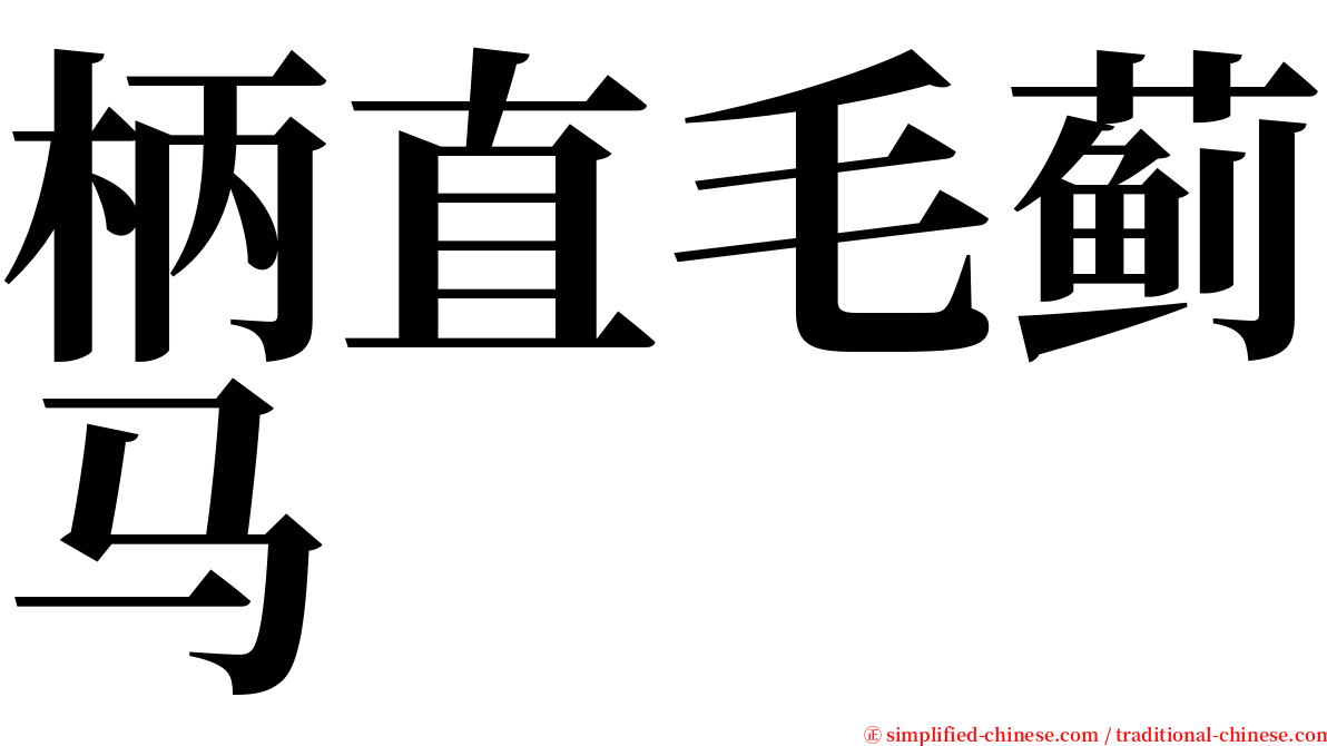 柄直毛蓟马 serif font