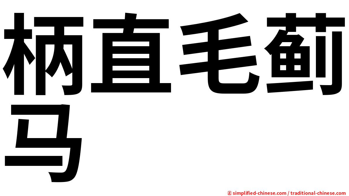 柄直毛蓟马