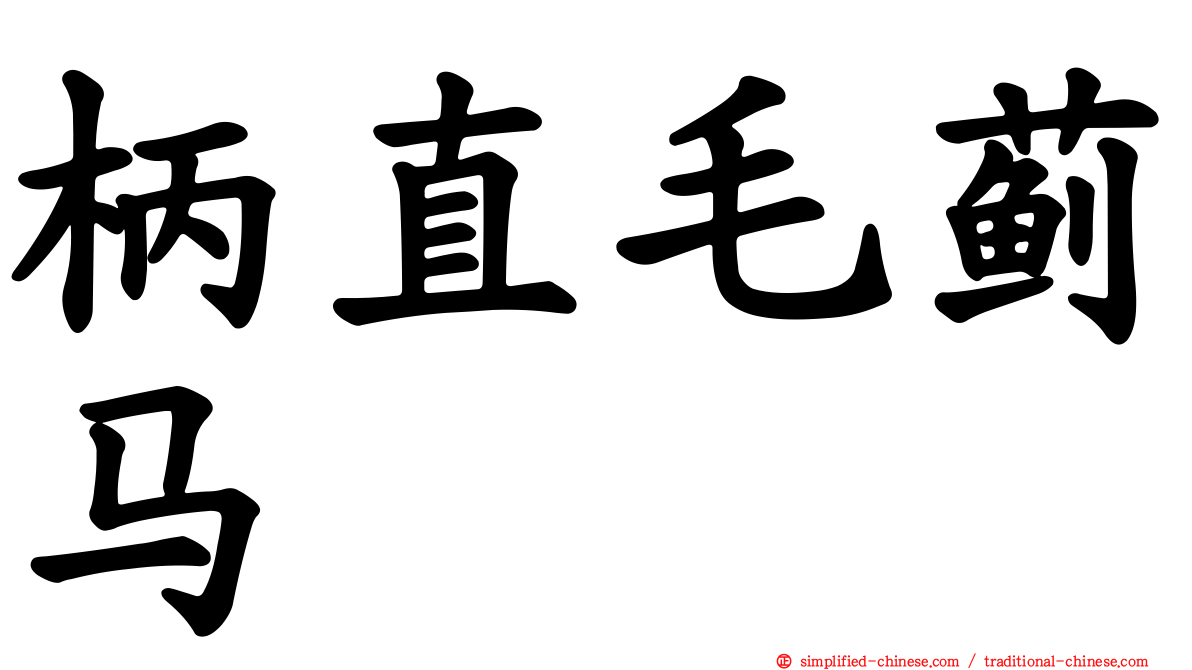 柄直毛蓟马