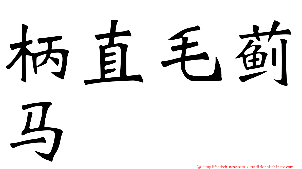柄直毛蓟马