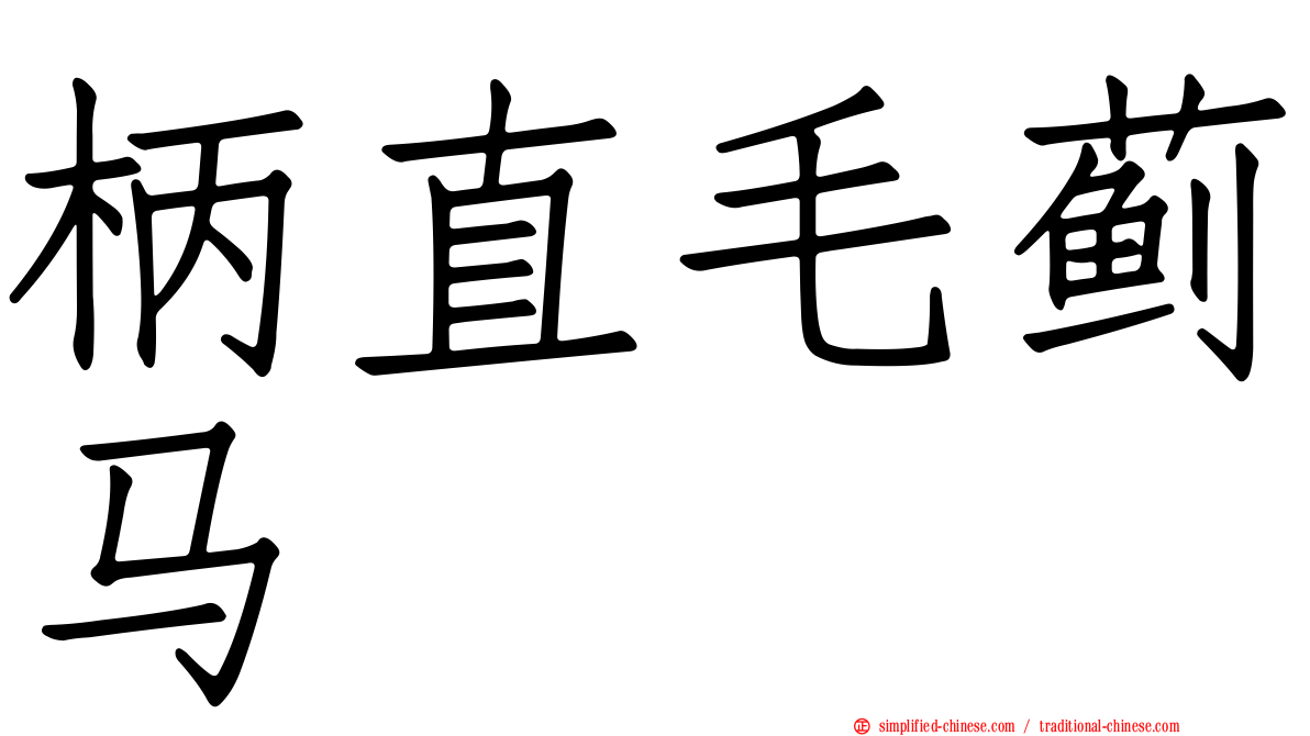 柄直毛蓟马