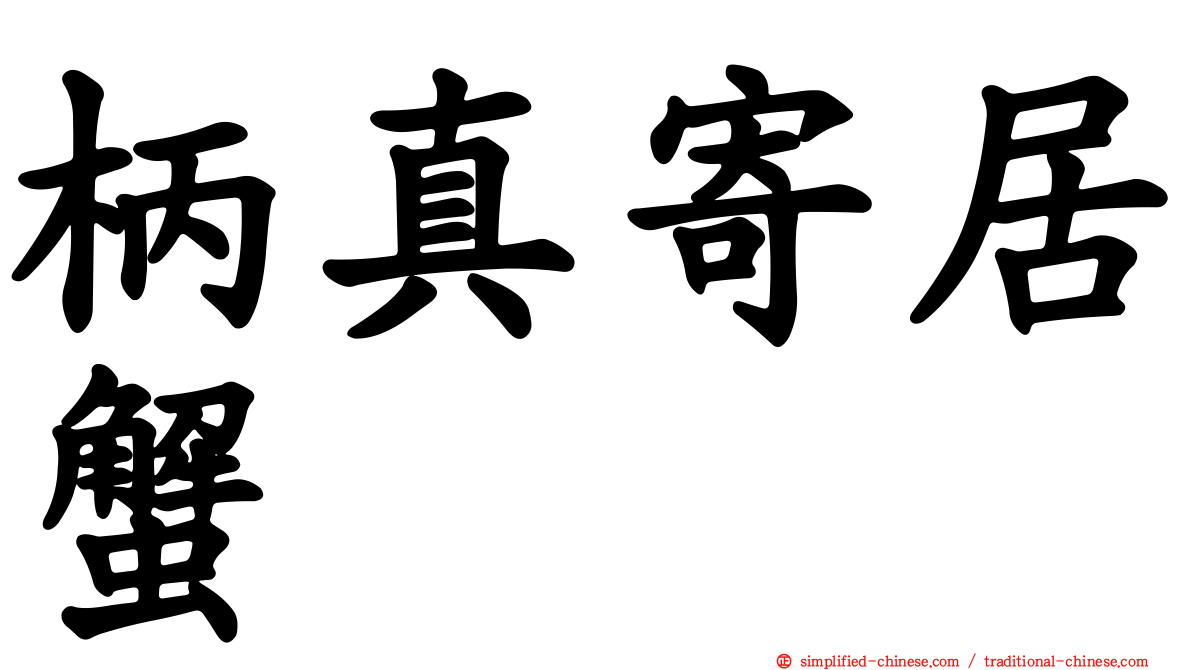 柄真寄居蟹