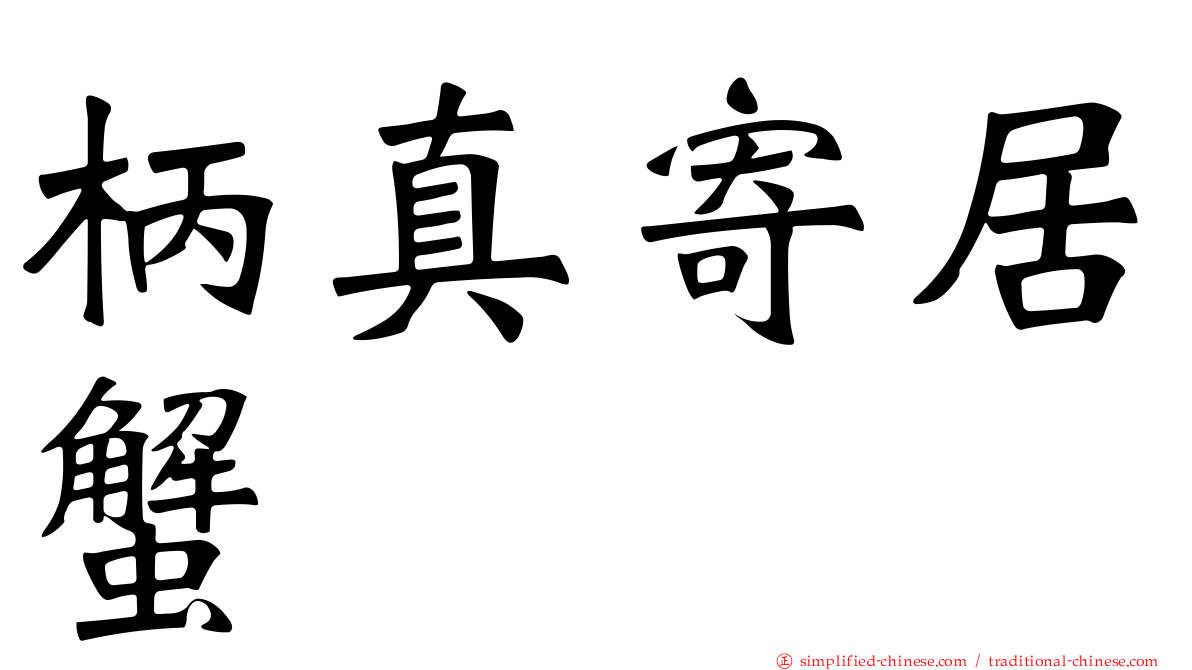 柄真寄居蟹
