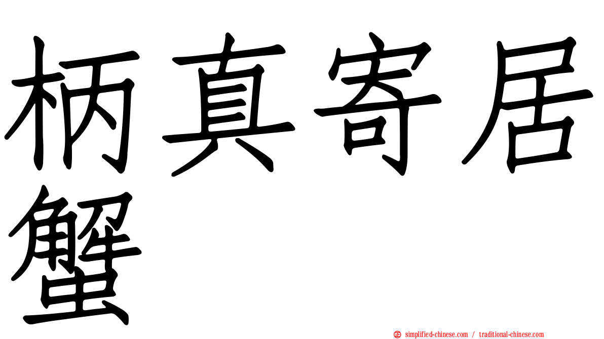 柄真寄居蟹