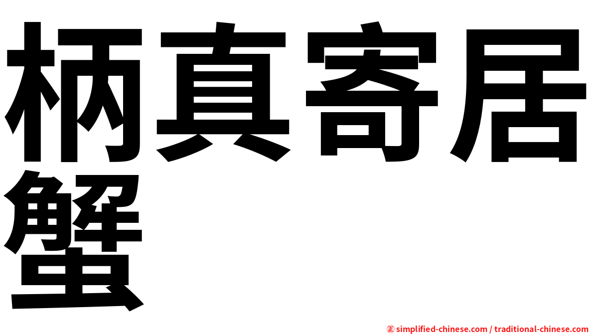 柄真寄居蟹