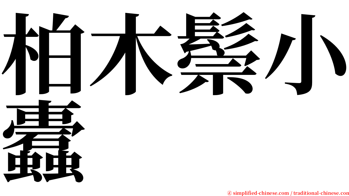 柏木鬃小蠹 serif font