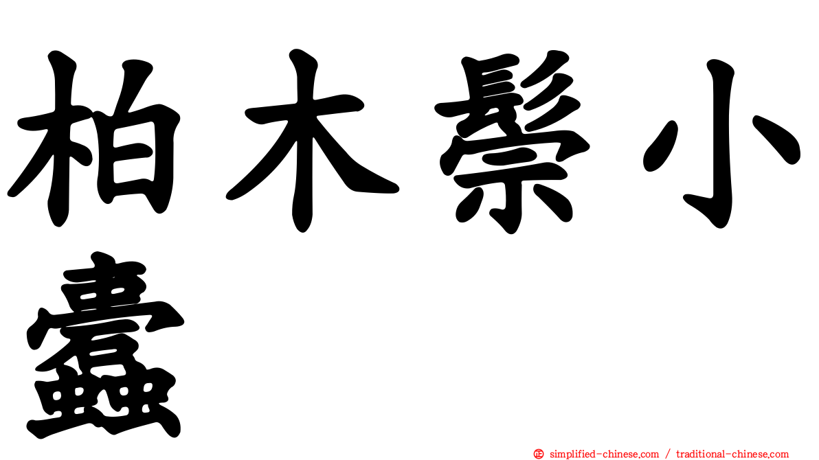 柏木鬃小蠹