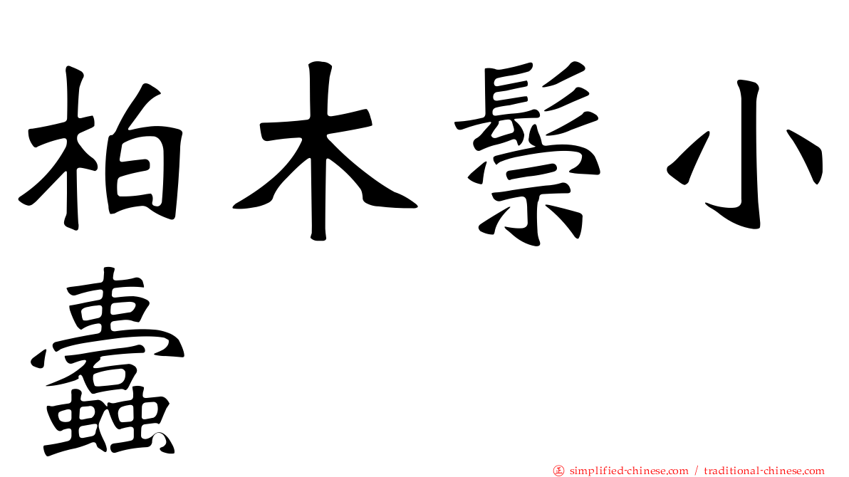 柏木鬃小蠹