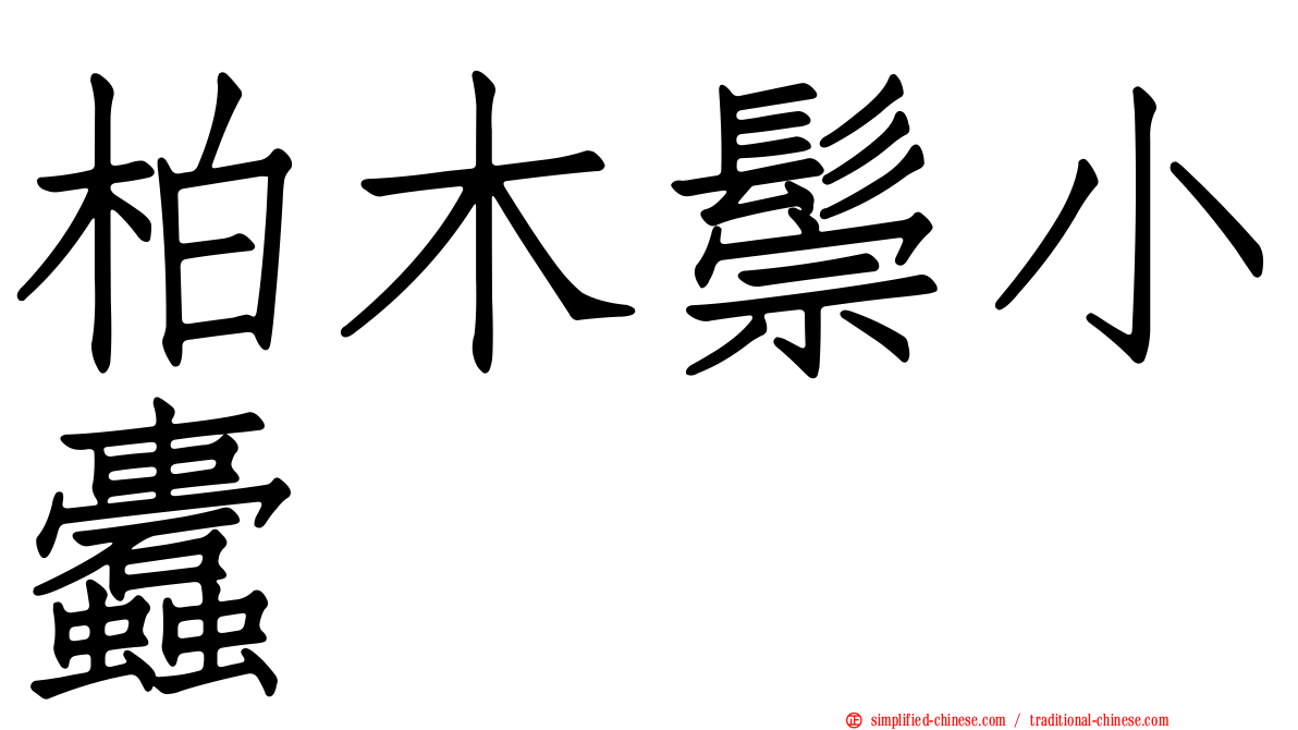 柏木鬃小蠹