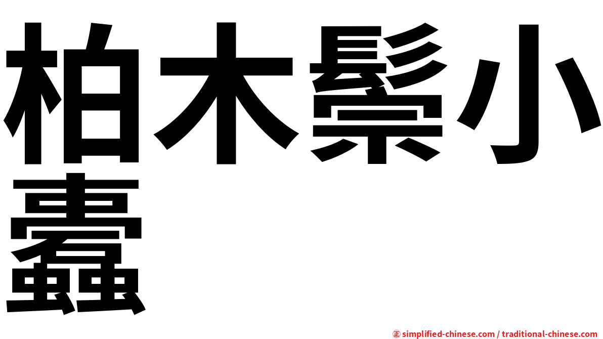 柏木鬃小蠹