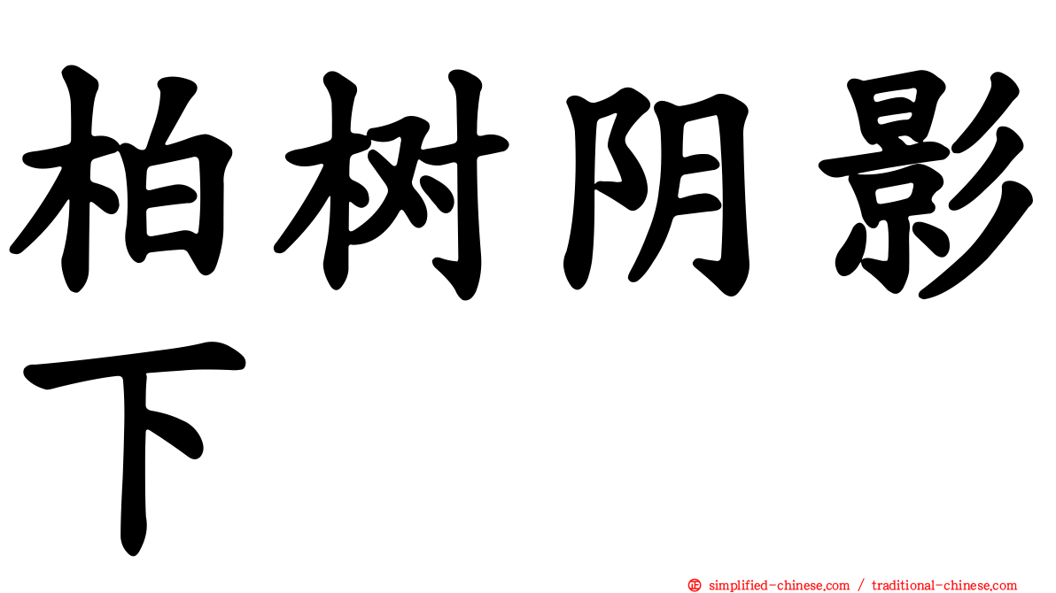 柏树阴影下