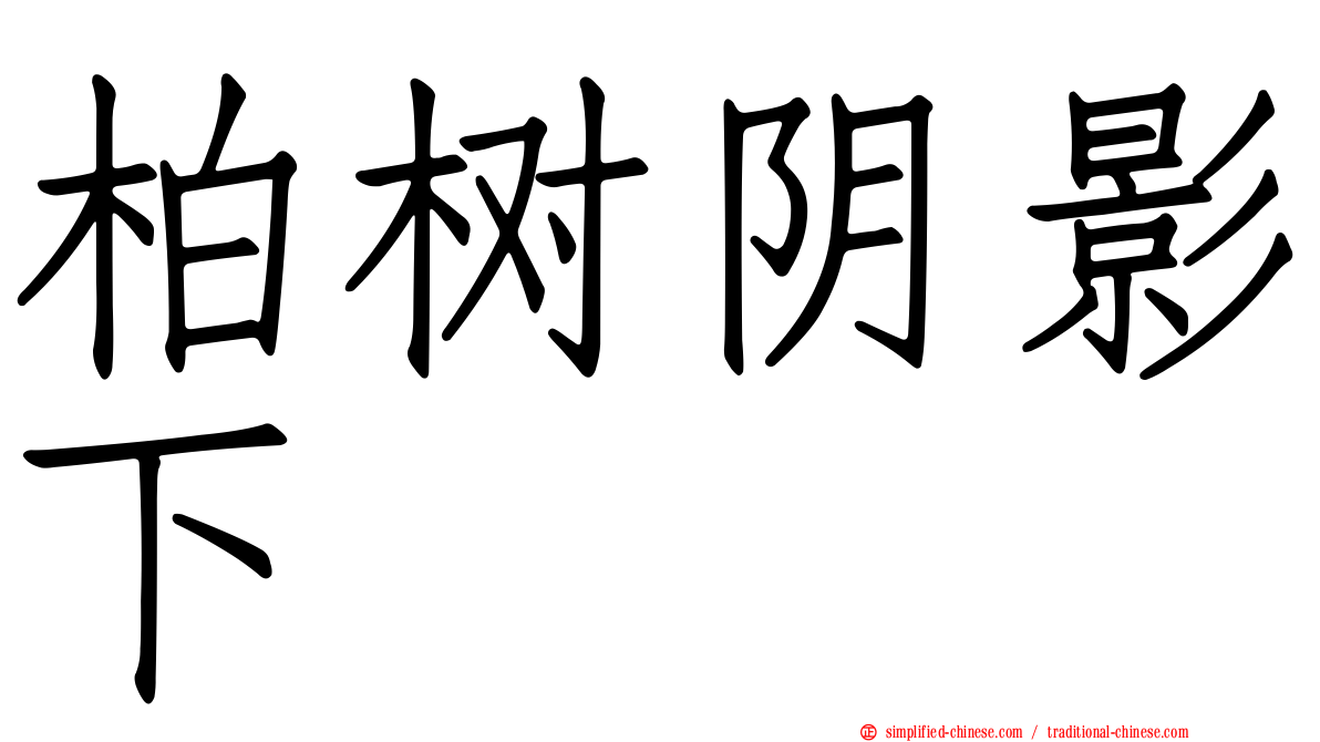 柏树阴影下