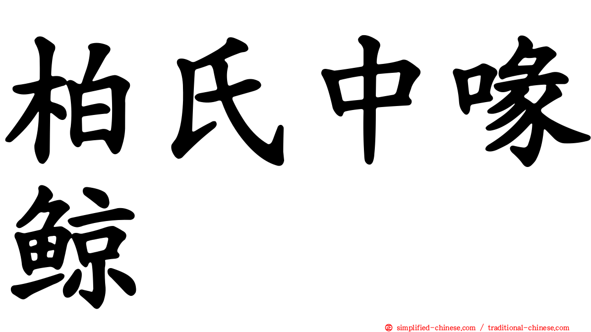 柏氏中喙鲸