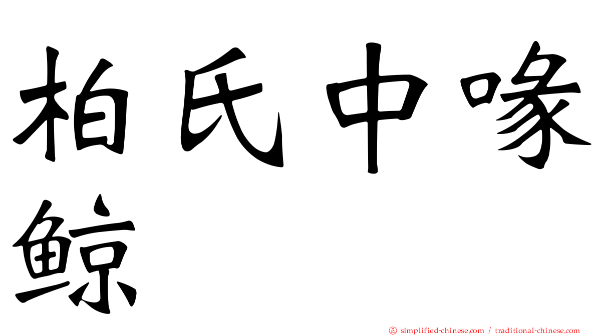 柏氏中喙鲸