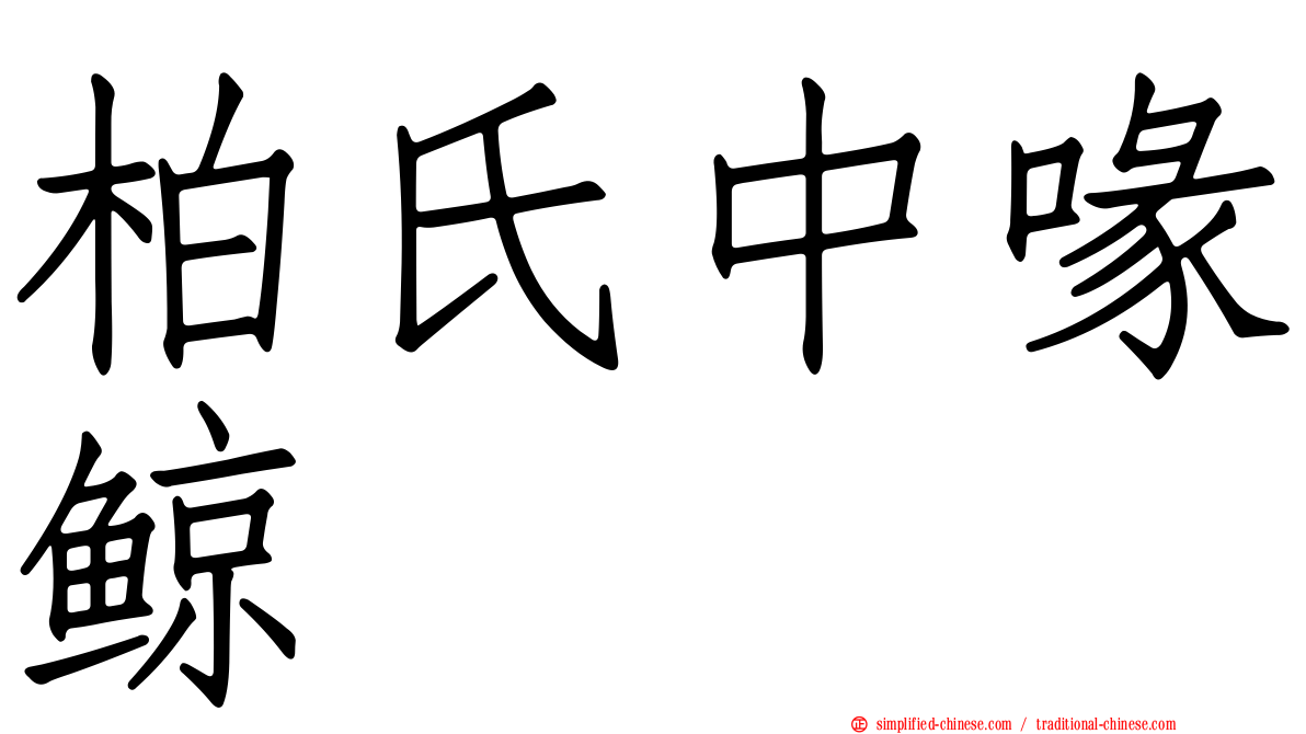 柏氏中喙鲸