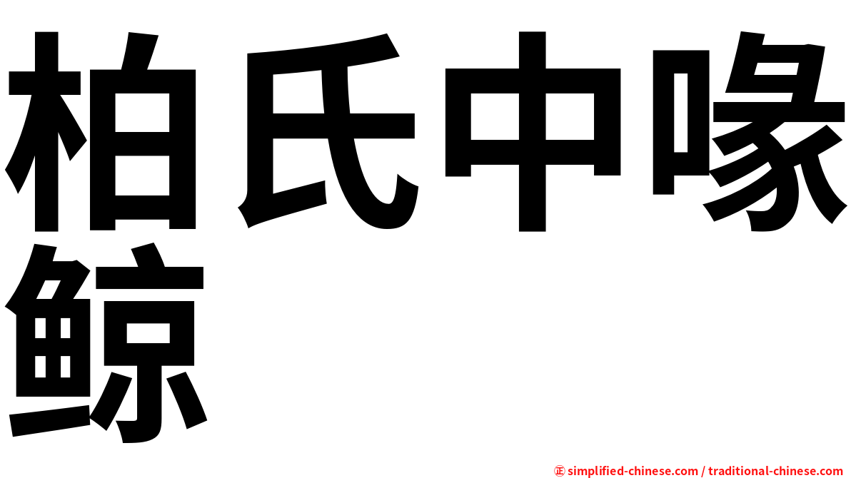 柏氏中喙鲸