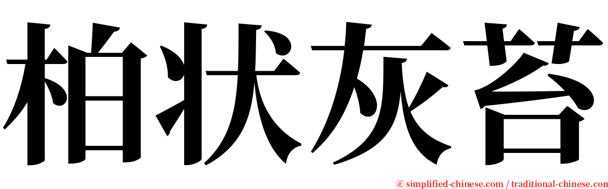 柏状灰苔 serif font
