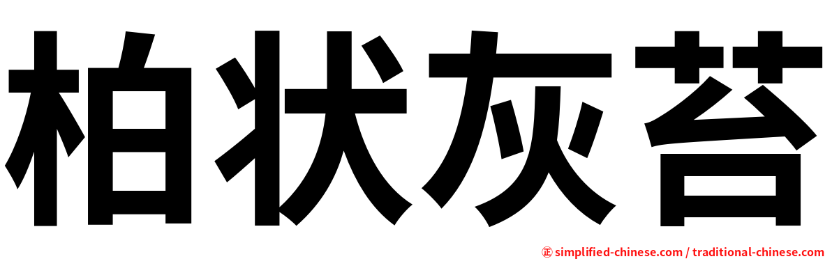 柏状灰苔