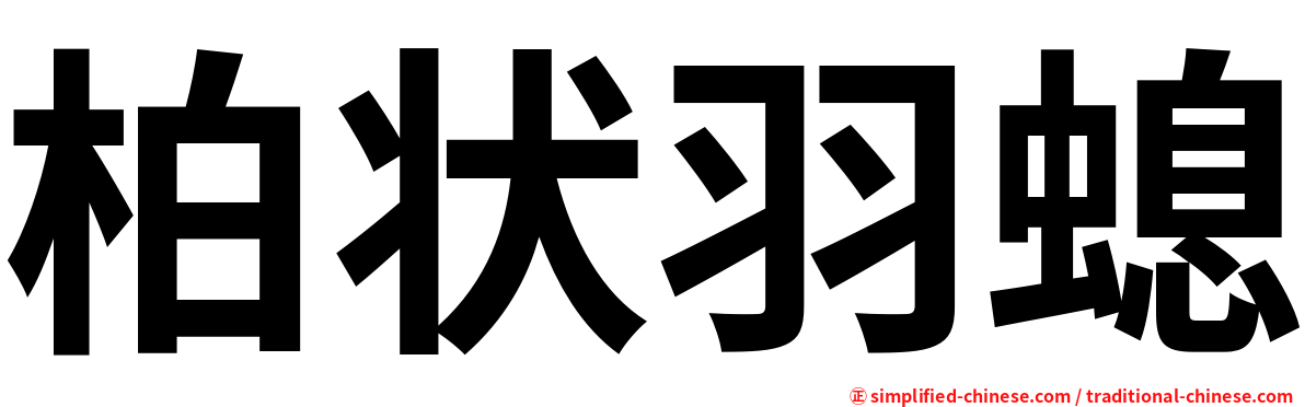 柏状羽螅