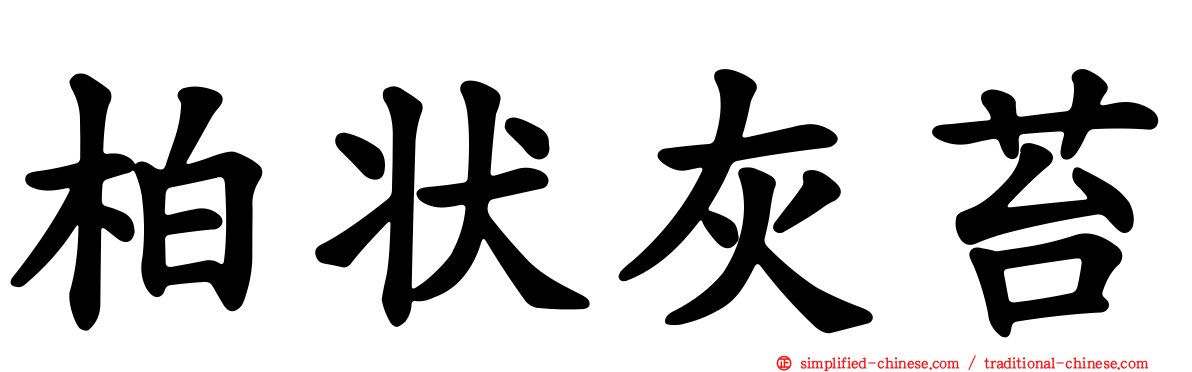 柏状灰苔
